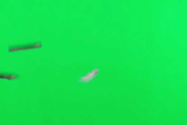 Shutterstock Video