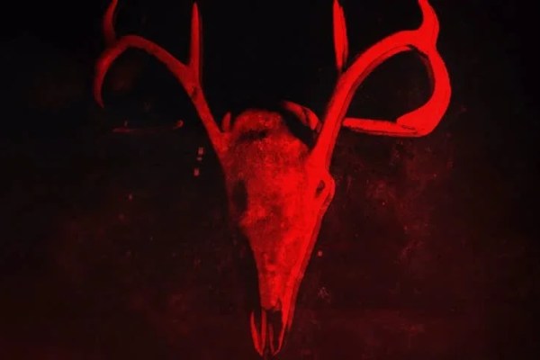 Shutterstock Video