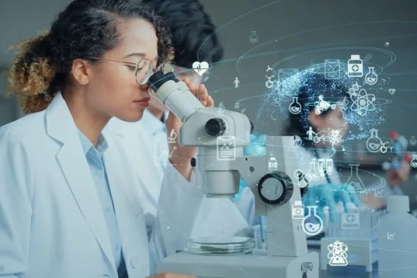 Shutterstock Video