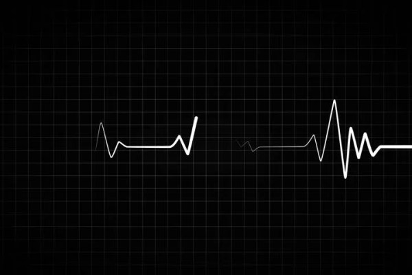 Shutterstock Video