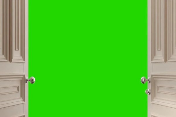 Shutterstock Video