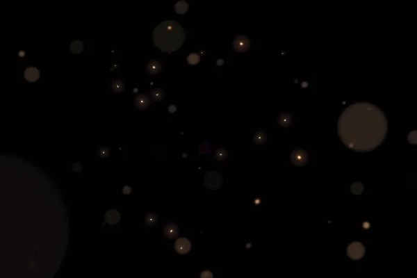 Shutterstock Video