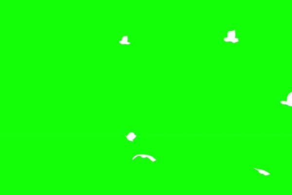 Shutterstock Video