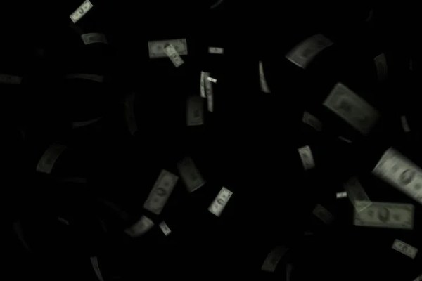 Shutterstock Video