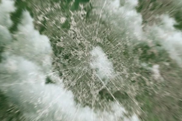 Shutterstock Video