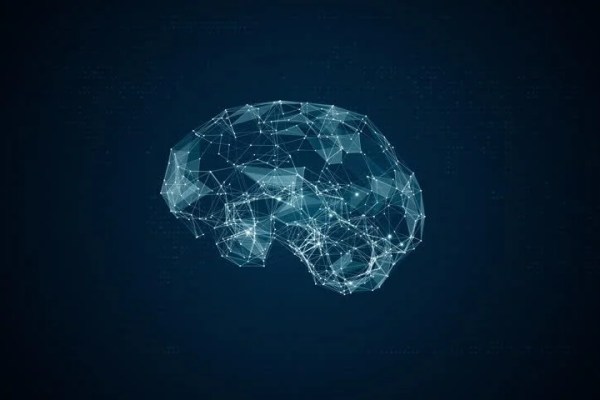 Shutterstock Video