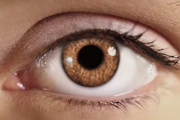 Shutterstock Video