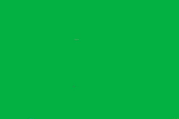 Shutterstock Video