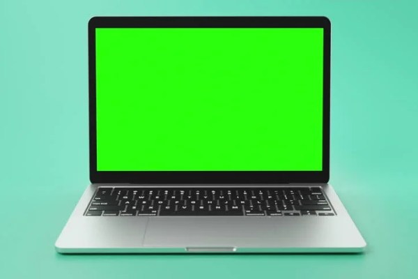 Shutterstock Video