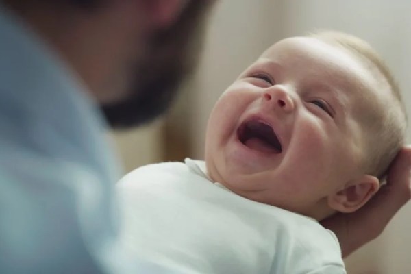 Shutterstock Video