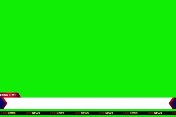 Shutterstock Video