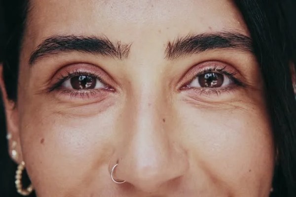 Shutterstock Video