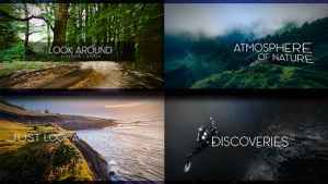 Look Around